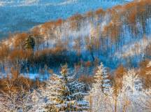 Bosnia & Herzegovina