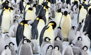 Holiday Destinations