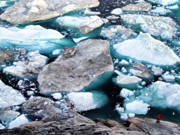 Exodus Agent Contacts