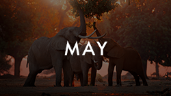 Where Adventure Holidays Begin